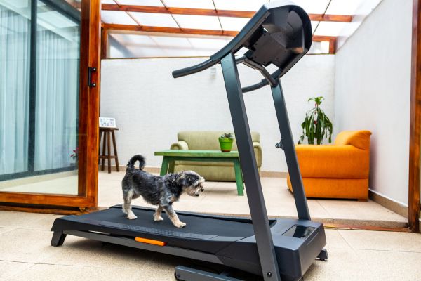 Cost of Treadmill Installation in Manteca