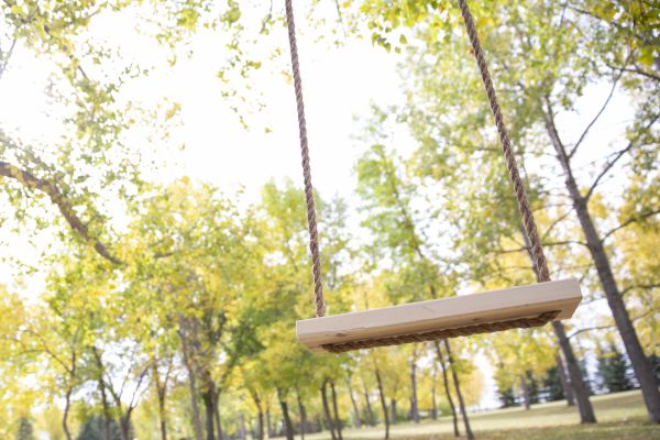 Cost of Tree Swing Installation in Manteca