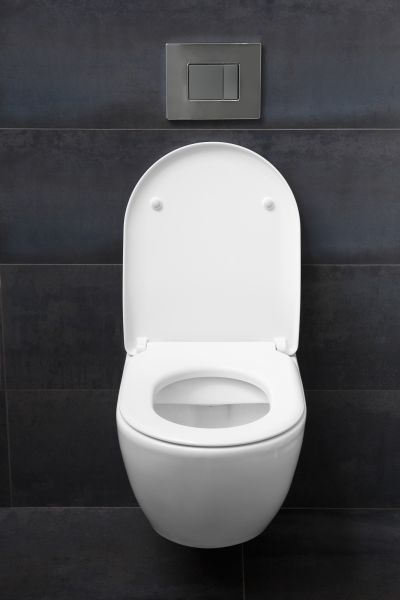 Cost of Toilet Lid Installation in Manteca