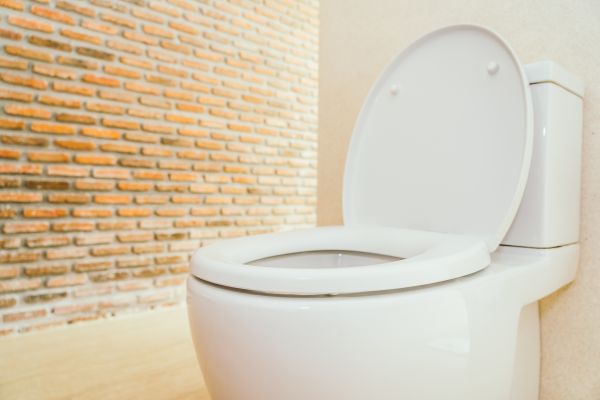 Cost of Toilet Seat Repair in Manteca